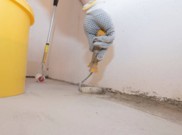 Best Termite Inspection and Treatment  in Splendora, TX